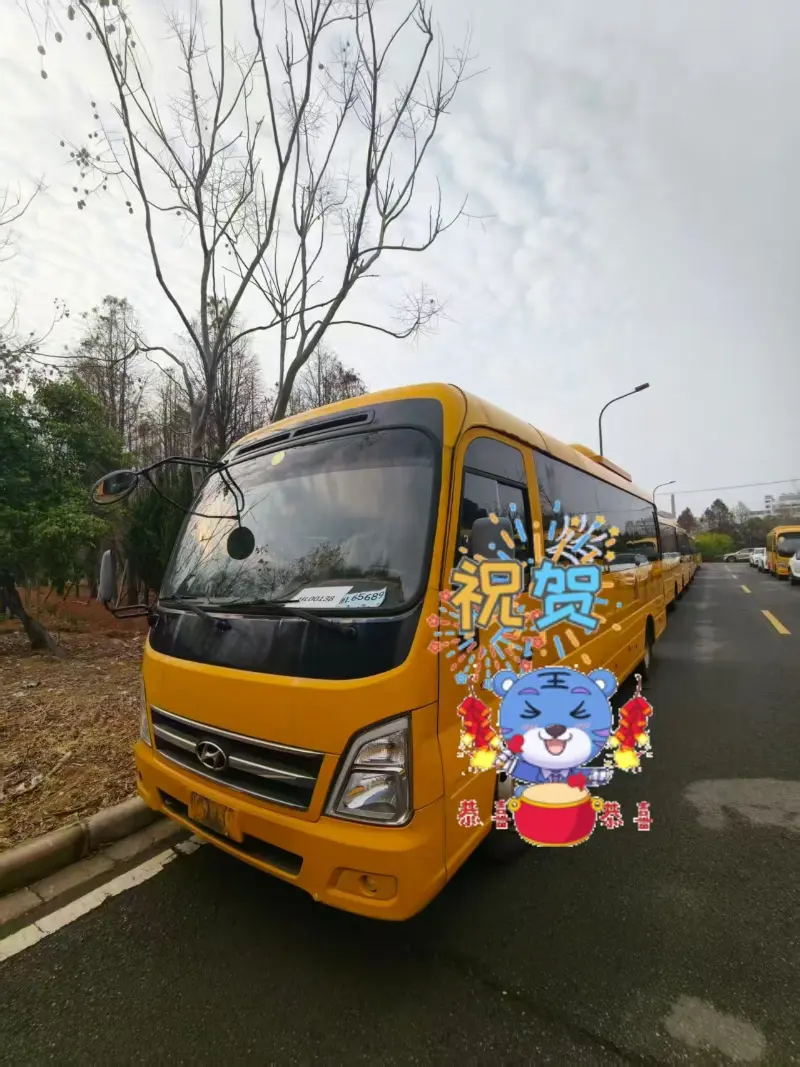 China Honglong Ya Yi Amfani da Ci gaban Kasuwancin Bus ɗin Fasinja a hankali a cikin Maris; An Isar da Motoci da yawa ga Abokan Ciniki na Duniya